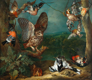 Eine Eule und andere Vögel - Philipp Ferdinand de Hamilton — Ansicht des Kunstwerks