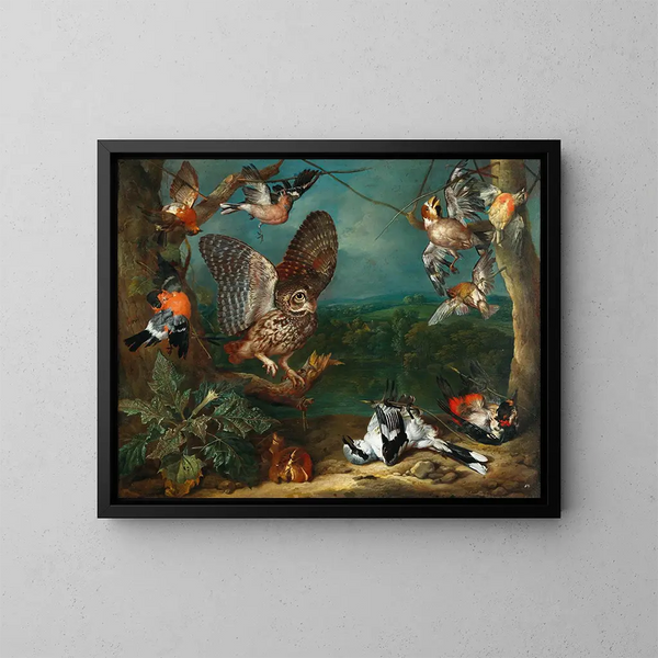 Eine Eule und andere Vögel - Philipp Ferdinand de Hamilton — gerahmtes Bild an der Wand
