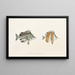 Fauna japonica Pl054 - Philipp Franz Balthasar von Siebold — gerahmtes Bild an der Wand