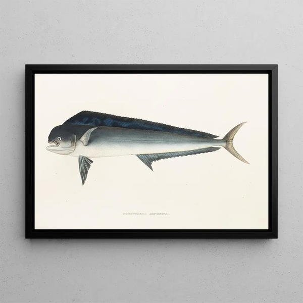 Faune japonaise Pl077 - Philipp Franz Balthasar von Siebold — gerahmtes Bild an der Wand