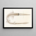 Faune japonaise Pl154 - Philipp Franz Balthasar von Siebold — gerahmtes Bild an der Wand