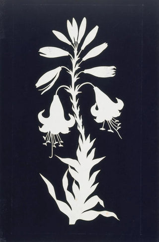 Philipp Otto Runge - Lilly.webp