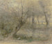 Partie de la Nied près du parc Brentano à Rödelheim animée par des canards - Philipp Rumpf — Ansicht des Kunstwerks
