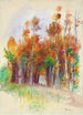 Bosquet d'arbres - Pierre-Auguste Renoir — Ansicht des Kunstwerks