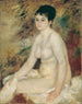 Nach dem Bad - Pierre-Auguste Renoir — Ansicht des Kunstwerks