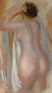 Nacktes Rücken - Pierre-Auguste Renoir — Ansicht des Kunstwerks
