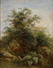 Studie eines Busches, von Pflanzen und Felsen neben dem See Nemi - Pierre-Henri de Valenciennes — Ansicht des Kunstwerks