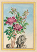 Pflanzen aus China Pl001 - Pierre Joseph Buchoz — Ansicht des Kunstwerks