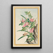 Pflanzen aus China Pl008 - Pierre Joseph Buchoz — gerahmtes Bild an der Wand