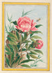 Pflanzen aus China Pl009 - Pierre Joseph Buchoz — Ansicht des Kunstwerks