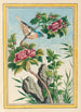 Pflanzen aus China Pl013 - Pierre Joseph Buchoz — Ansicht des Kunstwerks