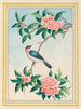 Pflanzen aus China Pl.014 - Pierre Joseph Buchoz — Ansicht des Kunstwerks