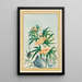 Pflanzen aus China Pl018 - Pierre Joseph Buchoz — gerahmtes Bild an der Wand