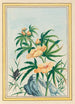 Pflanzen aus China Pl018 - Pierre Joseph Buchoz — Ansicht des Kunstwerks