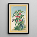 Pflanzen aus China Pl021 - Pierre Joseph Buchoz — gerahmtes Bild an der Wand