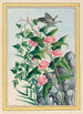 Pflanzen aus China Pl022 - Pierre Joseph Buchoz — Ansicht des Kunstwerks