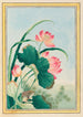 Pflanzen aus China Pl027 - Pierre Joseph Buchoz — Ansicht des Kunstwerks