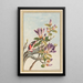 Pflanzen aus China Pl031 - Pierre Joseph Buchoz — gerahmtes Bild an der Wand