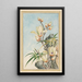 Pflanzen aus China Pl032 - Pierre Joseph Buchoz — gerahmtes Bild an der Wand