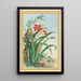 Pflanzen aus China Pl034 - Pierre Joseph Buchoz — gerahmtes Bild an der Wand