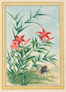 Pflanzen aus China Pl035 - Pierre Joseph Buchoz — Ansicht des Kunstwerks