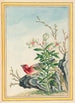 Pflanzen aus China Pl038 - Pierre Joseph Buchoz — Ansicht des Kunstwerks