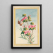 Pflanzen aus China Pl043 - Pierre Joseph Buchoz — gerahmtes Bild an der Wand