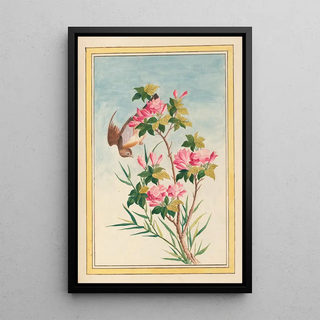 Pierre Joseph Buchoz - Plantes de Chine Pl043.webp