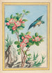 Pflanzen aus China Pl045 - Pierre Joseph Buchoz — Ansicht des Kunstwerks