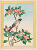 Pflanzen aus China Pl046 - Pierre Joseph Buchoz — Ansicht des Kunstwerks