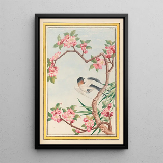 Pierre Joseph Buchoz - Plantes de Chine Pl050.webp