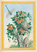 Pflanzen aus China Pl058 - Pierre Joseph Buchoz — Ansicht des Kunstwerks