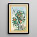 Pflanzen aus China Pl058 - Pierre Joseph Buchoz — gerahmtes Bild an der Wand