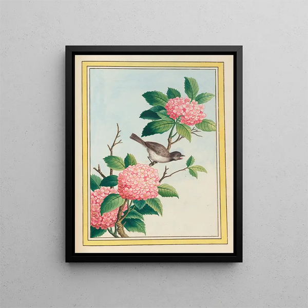 Pierre Joseph Buchoz - Plantes de Chine Pl070.webp