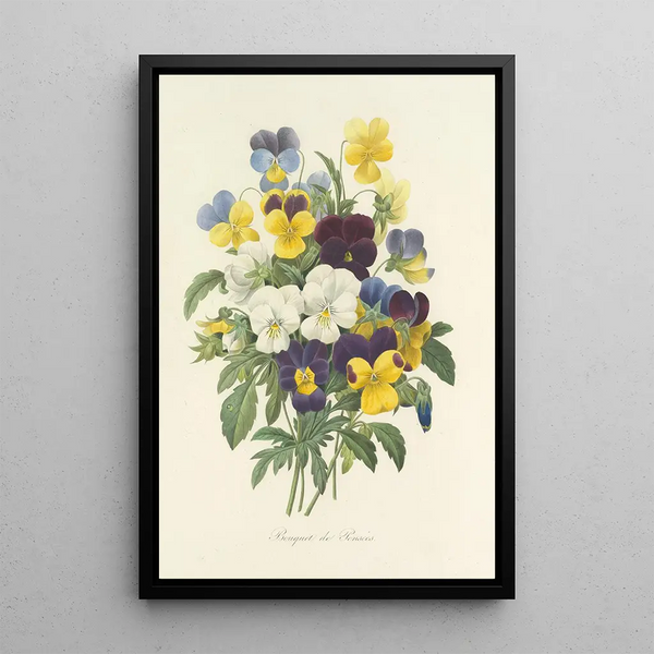Auswahl der schönsten Blumen pl 067 - Pierre Joseph Redouté — gerahmtes Bild an der Wand