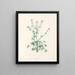 Das botanische J. J. Rousseau Pl 10 - Pierre-Joseph Redouté — gerahmtes Bild an der Wand