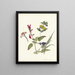 Studien von Wildblumen - Pieter Ernst Hendrik Praetorius — gerahmtes Bild an der Wand