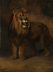 eines Löwen aus der Menagerie des Königs Louis Napoleon 1808 - Pieter Gerardus van Os — Ansicht des Kunstwerks