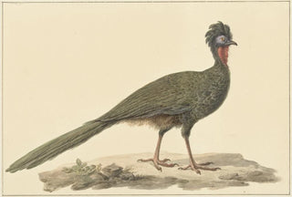 Pieter Pietersz Barbiers - Penelope op de grond.webp