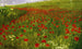 Prairie mit Mohnblumen - Pál Szinyei Merse — Ansicht des Kunstwerks