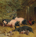 Porcs Berkshire und Hühner in einem Hof mit Heu - John Frederick Herring Snr — Ansicht des Kunstwerks