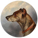 Portrait de chien rond - Carl Reichert — Ansicht des Kunstwerks
