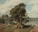 Landschaft an der San Isidro-Küste - Prilidiano Pueyrredón — Ansicht des Kunstwerks