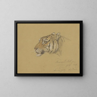 Raden Saleh - Kop van een Tijger.webp