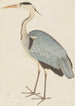 Heron cendré - Ram Das — Ansicht des Kunstwerks