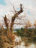 Alter Baum am Bachufer - Ramon Tusquets — Ansicht des Kunstwerks