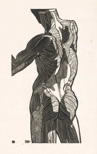 Reijer Stolk - Anatomische studie van de rug en bilspieren van een man.webp