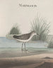 Naturgeschichte von Saint-Domingue Pl051 - René de Rabi — Ansicht des Kunstwerks