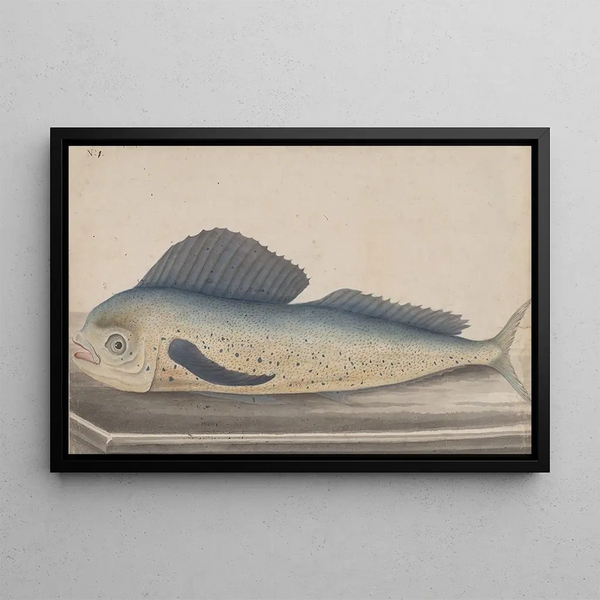 Naturgeschichte von Saint-Domingue Pl060 - René de Rabi — gerahmtes Bild an der Wand