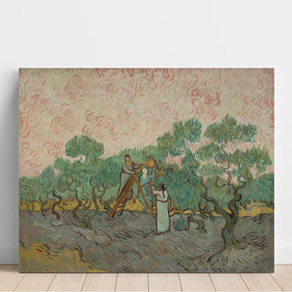 Reproduction Femmes ramassant des olives - Vincent van Gogh